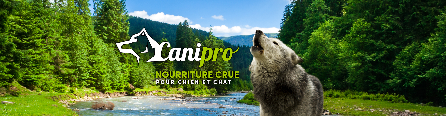 CaniPro Banner